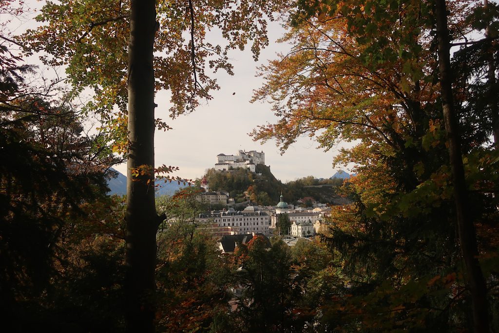 Ausblick vom Bürgelstein auf die Festung