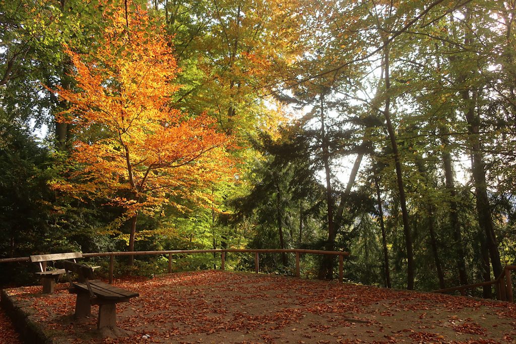 Gipfelplateau mit Bänken