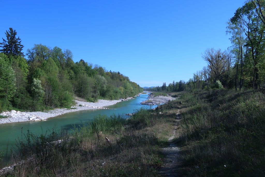 Blick auf den Renaturierungsbereich aus Richtung Süden