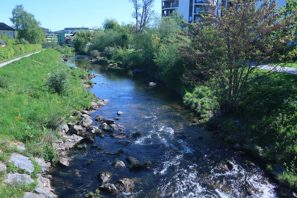 Blick auf den Renaturierungsbereich von Süden