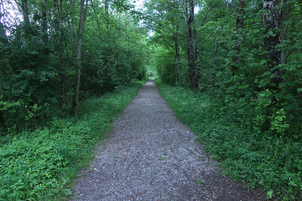 Weg